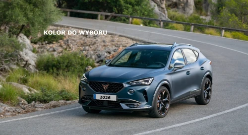 CUPRA Formentor 1.5 eTSI mHEV DSG 